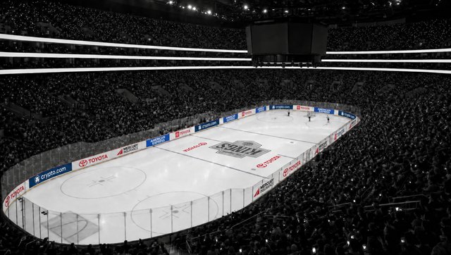 The same frame, the ice and the near boards with Toyota